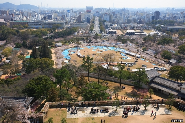 2006 SAKURA PART2