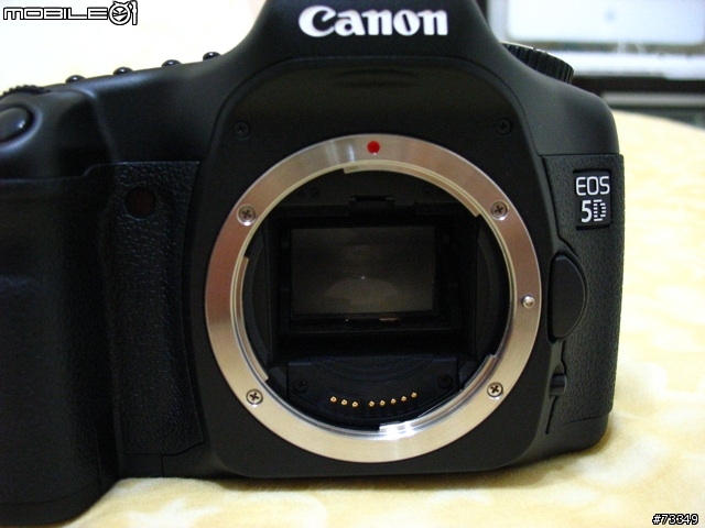 [非勸敗] 解放你鏡頭的全部實力,錢井深 Canon Eos 5D  [開箱兼小測]