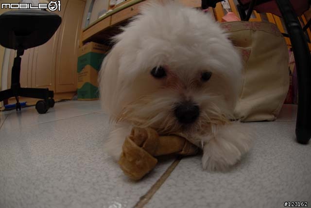 [勸敗分享]AF DX Fisheye Nikkor ED 10.5mm F2.8G