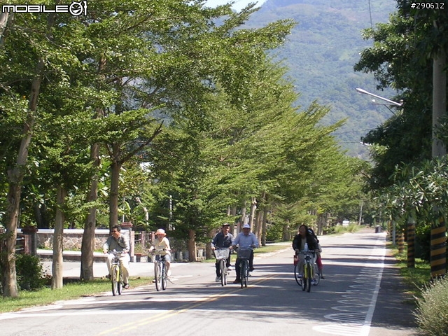 [景點]台東 鹿野