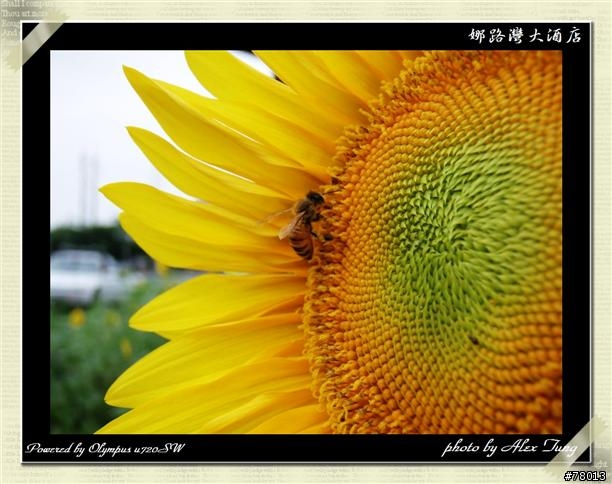 [分享]最近出遊拍的照片---花東綠島三日遊 (6/12 新增娜路灣大酒店照片)