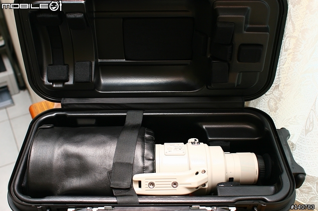 [分享]Canon EF 600mm F/4L IS USM（開箱、陽明山＆溪頭實戰）