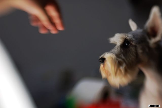 Lensbaby  移軸鏡頭F2.0 大光圈版