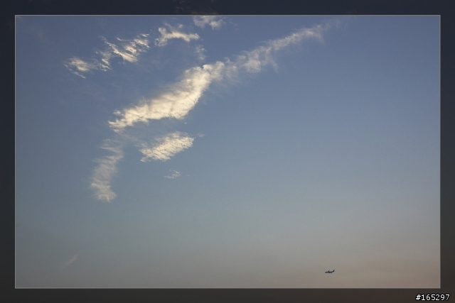 綠意、黃昏、夕陽