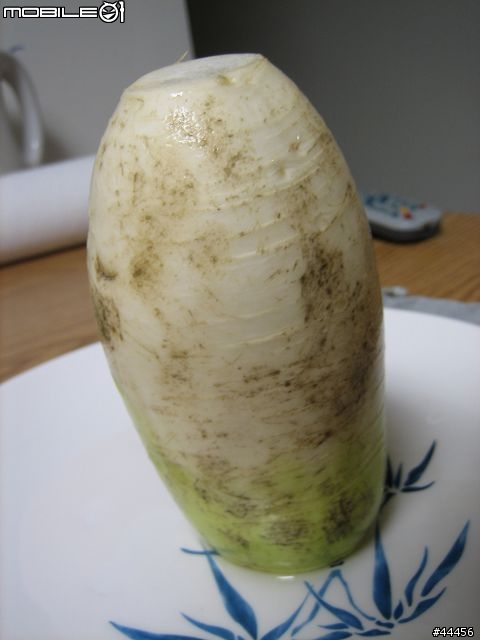 [藍色北極熊的廚房 PART 3]~~炎炎夏日 該嚐嚐看清淡口味之~"蔬菜排骨湯"