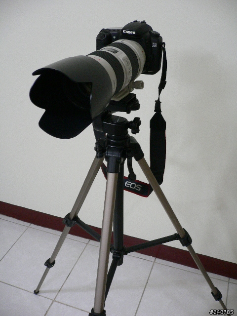 [勸敗][分享]Canon EF 70-200mm F2.8L IS USM不專業開箱分享