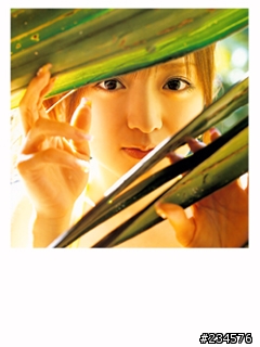 [分享] Morning 娘 紺野朝美 Alo-Hello 桌布99張