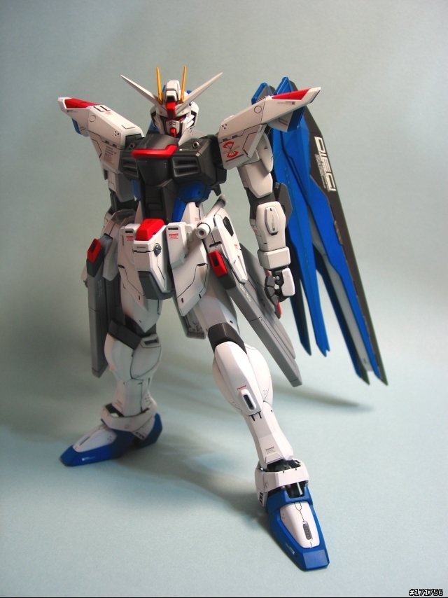 [高難度的逸品!?] 第九彈 1/100 MG Freedom Gundam 自由鋼彈修改版  模型製作
