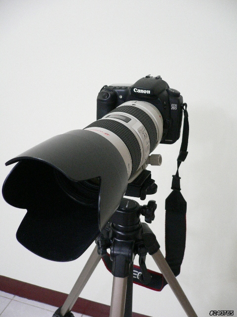 [勸敗][分享]Canon EF 70-200mm F2.8L IS USM不專業開箱分享