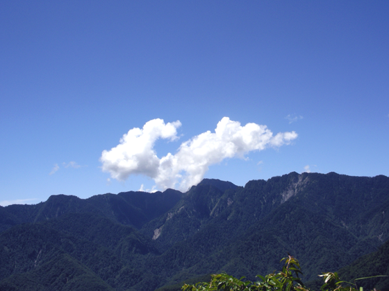 很像狗的雲