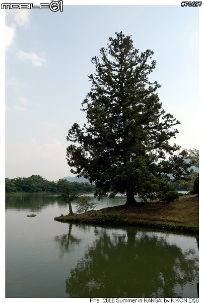 [D50]關西九日遊 Day5&6---嵐山、天龍寺、大原&三千院
