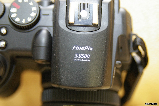 [分享]fuji s9500類單眼相機入手測試!新增波斯菊外拍圖