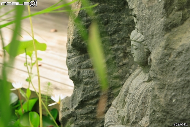 [350D] 湖畔、花時間
