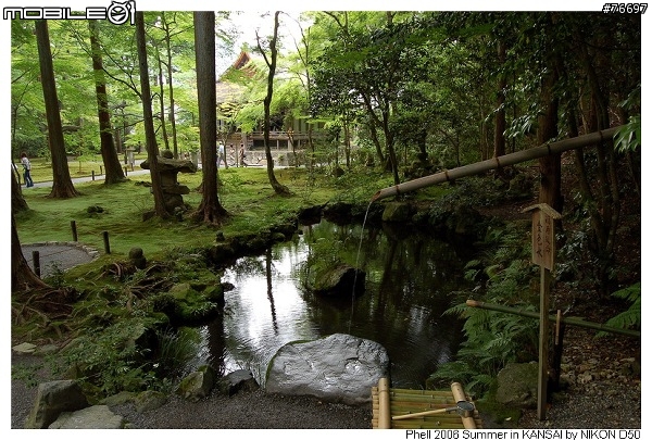 [D50]關西九日遊 Day5&6---嵐山、天龍寺、大原&三千院