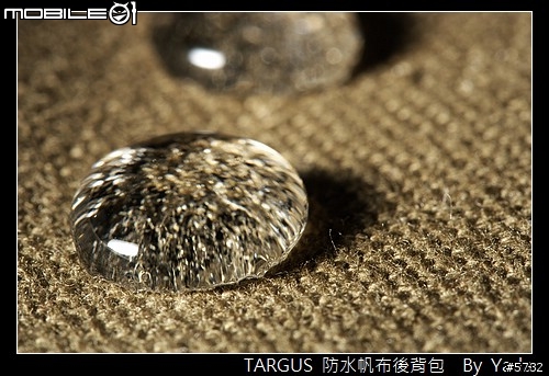 不只經典，超越現代～Targus 防水帆布後背包