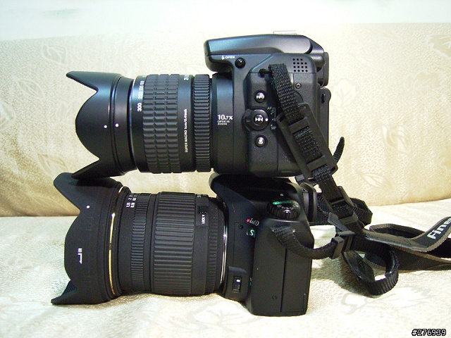 [分享]fuji s9500類單眼相機入手測試!新增波斯菊外拍圖