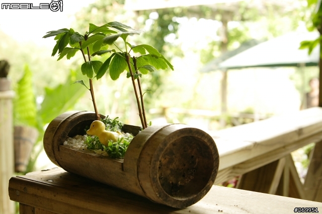 [350D] 湖畔、花時間