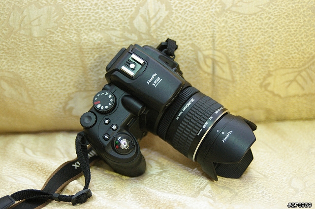 [分享]fuji s9500類單眼相機入手測試!新增波斯菊外拍圖