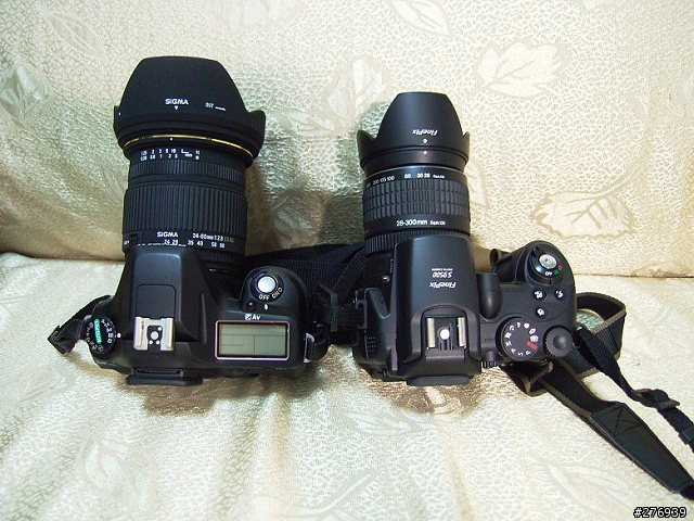 [分享]fuji s9500類單眼相機入手測試!新增波斯菊外拍圖