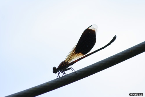 (分享)名門雙傑~APO的遺珠Zeiss 21/2.8&100-300/4.5-5.6