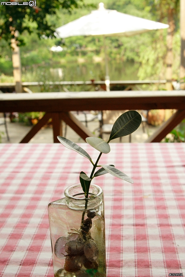 [350D] 湖畔、花時間