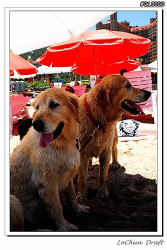翡翠灣夏日樂園!!