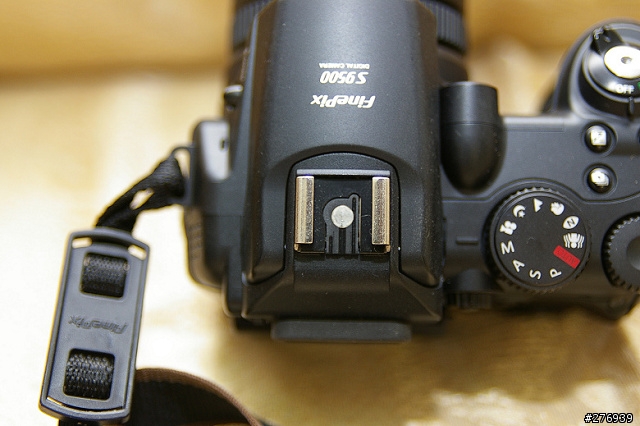 [分享]fuji s9500類單眼相機入手測試!新增波斯菊外拍圖