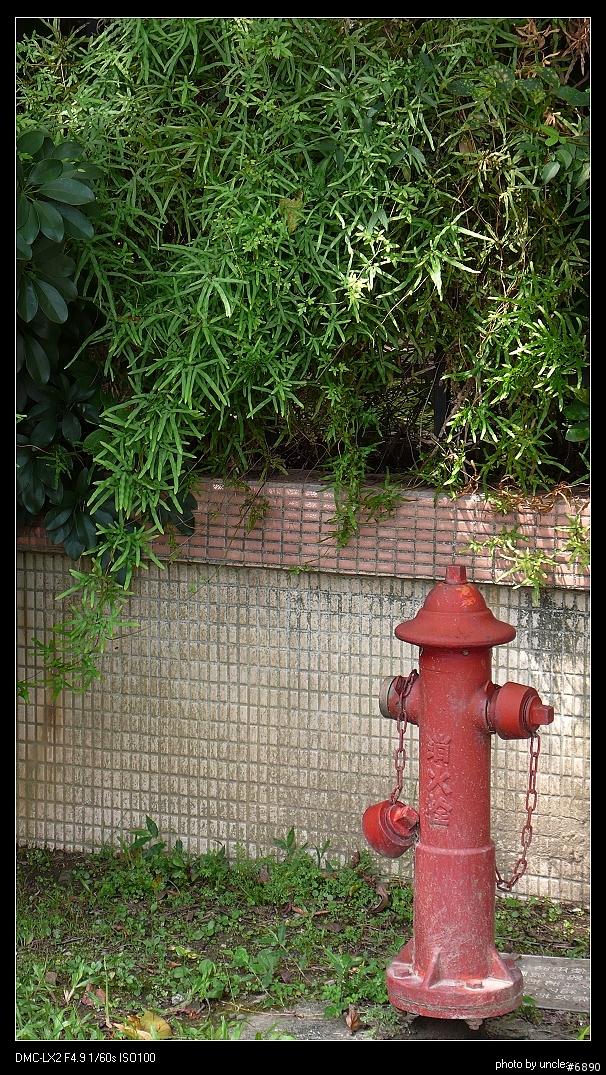[分享] 小人物的反擊---Panasonic LX2 24小時使用心得+測試照