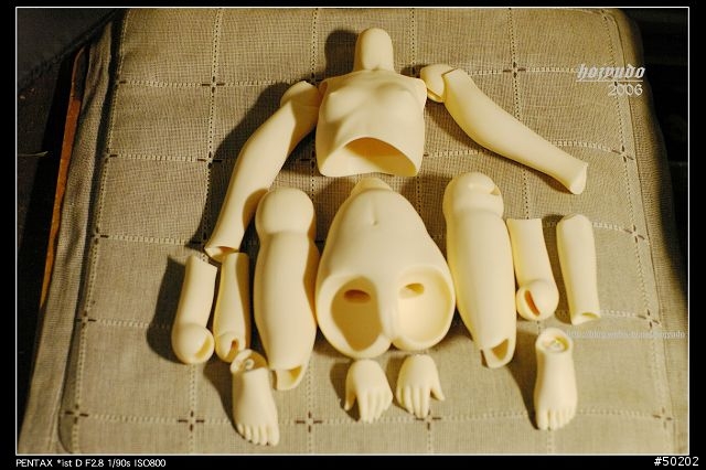 再一次讓我們進入夢幻的世界,大人的大玩偶 Super Dollfie