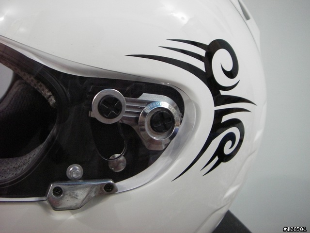 FR  DAN-X  (除了 arai , shoei 之外的選擇)