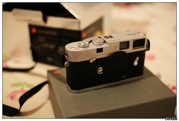 Leica MP + Summilux-M 35mm F1.4 Asph