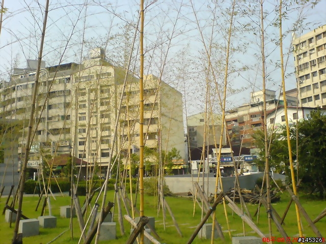 se w800i拍攝中正公園竹林