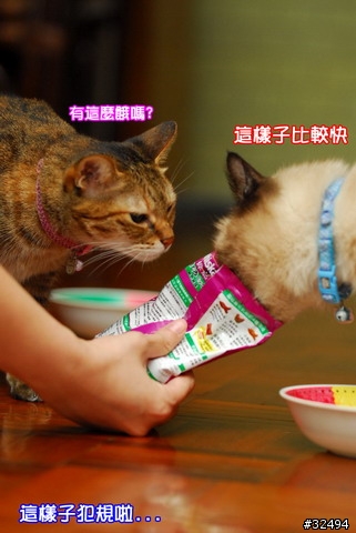 [分享]偽家貓食禮盒?