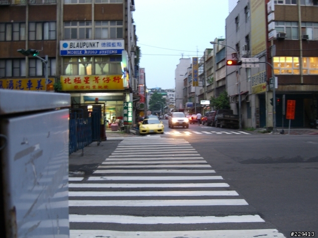 散步看到的小黃!!