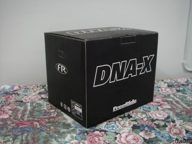 FR  DAN-X  (除了 arai , shoei 之外的選擇)