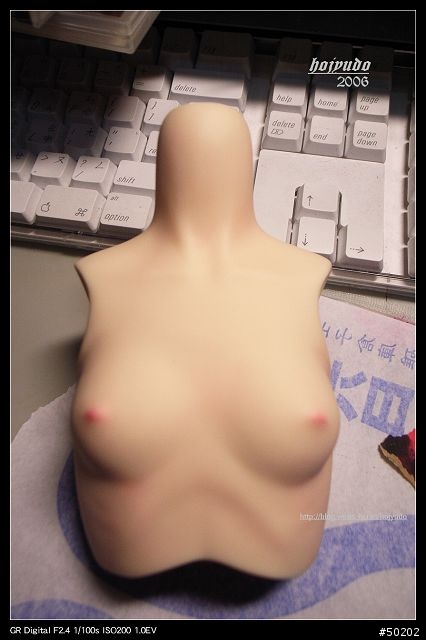 再一次讓我們進入夢幻的世界,大人的大玩偶 Super Dollfie