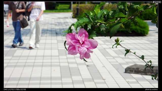 [分享] 小人物的反擊---Panasonic LX2 24小時使用心得+測試照