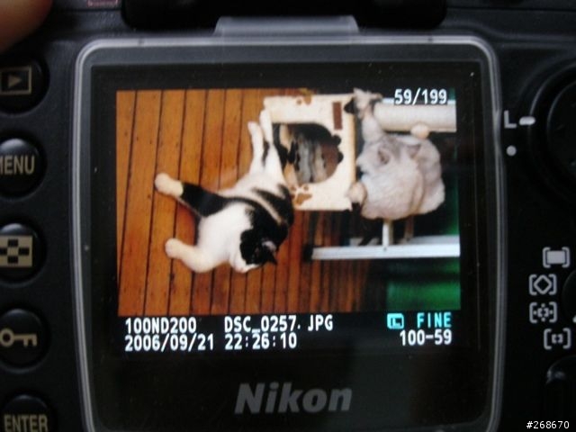 [求助]D200和創見4GB 120x CF卡的問題