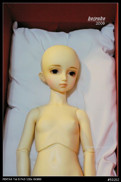 再一次讓我們進入夢幻的世界,大人的大玩偶 Super Dollfie
