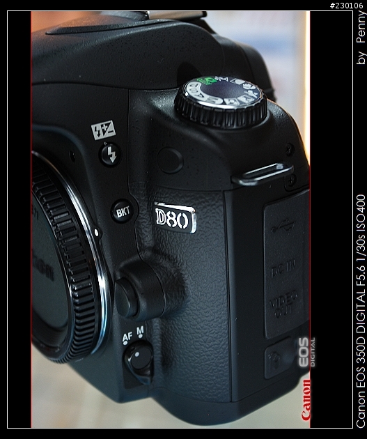 [分享]搶先分享~還是熱的Nikon D80 kit寫真照!!