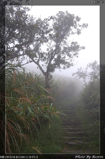 [D50]小油坑到七星山主峰(27pic)
