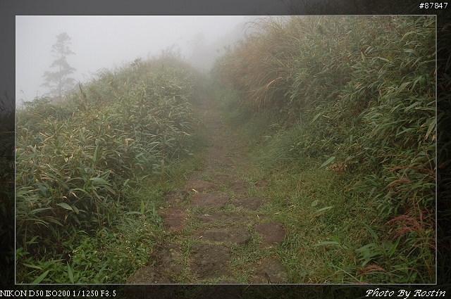 [D50]小油坑到七星山主峰(27pic)