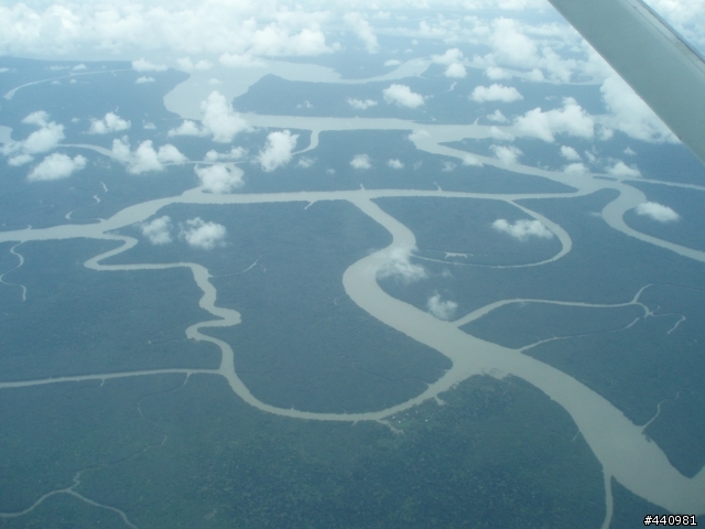 papua new guinea 那個有天堂鳥的國家