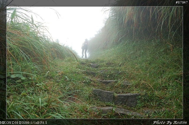 [D50]小油坑到七星山主峰(27pic)