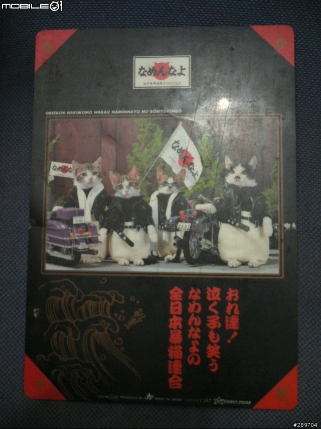 這個年代   還有人知道"暴貓連合"這個東西嗎?