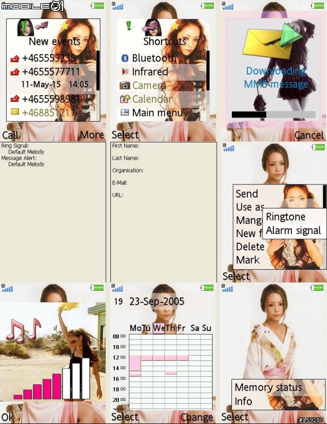 [K800i/k750i]分享安室奈美惠2006年場刊主題