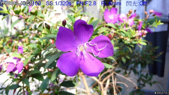 I LOVE MY  LX2