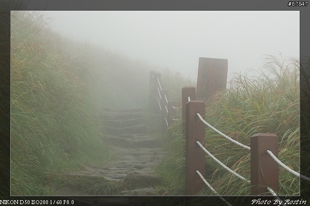 [D50]小油坑到七星山主峰(27pic)