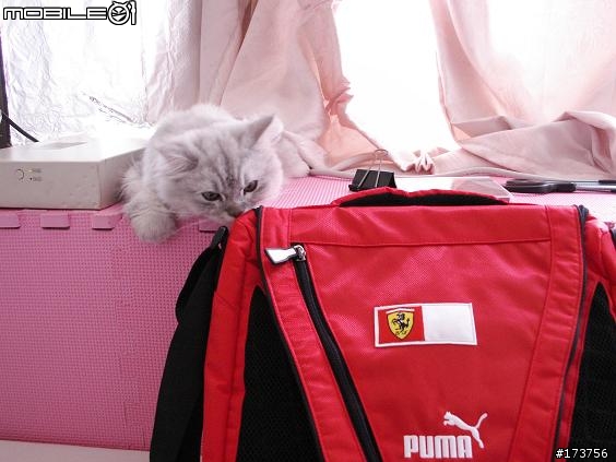 [分享] Ferrari 側背包