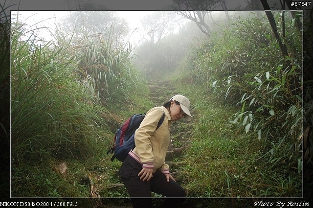 [D50]小油坑到七星山主峰(27pic)